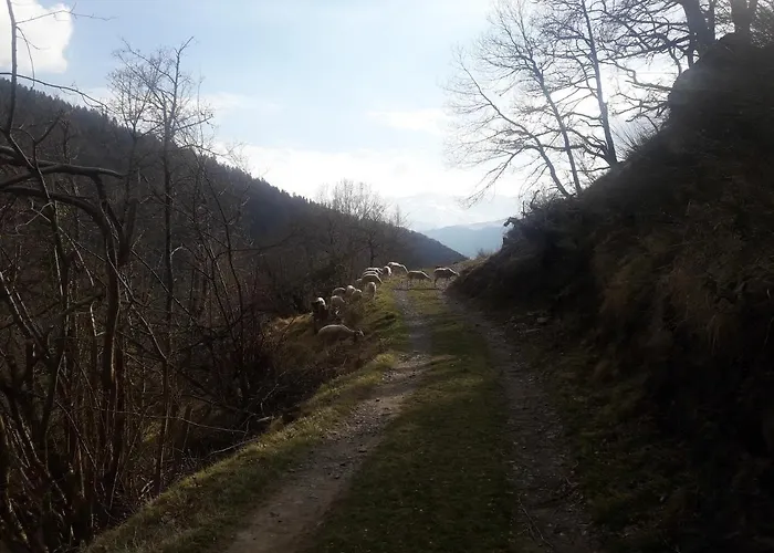 Апартаменты Le Paradis D'aran